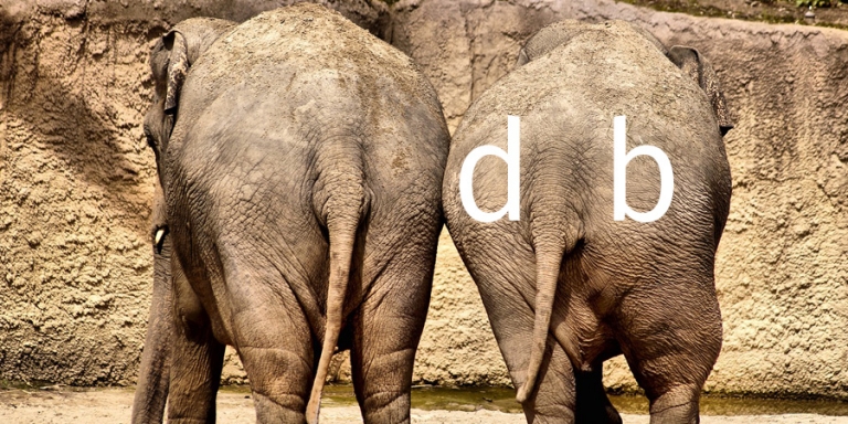 Dikke billen olifant - Ik kan het ook!